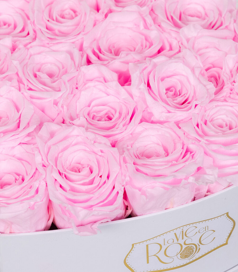 Pink Cryogenic Roses in White Box - Image 3