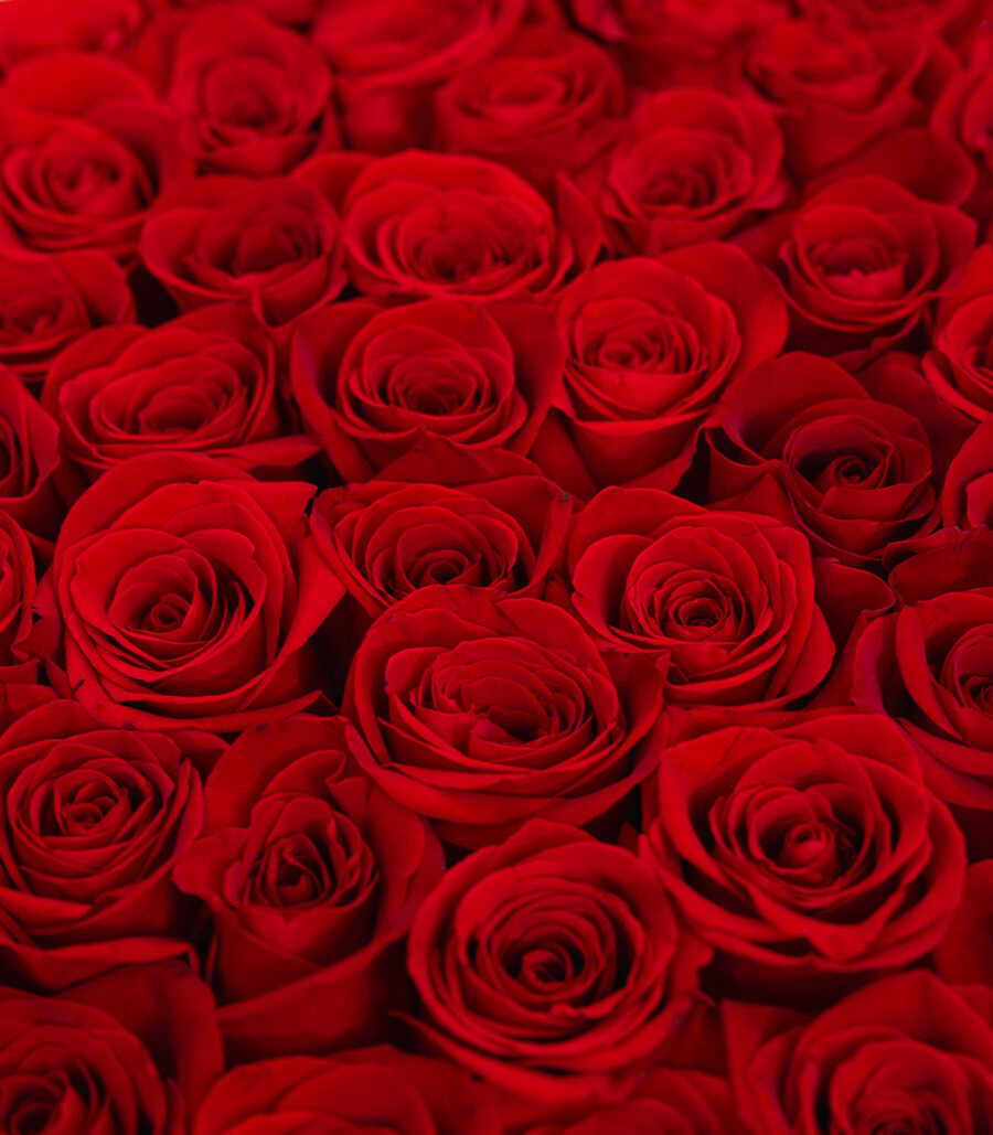 Box of 59 Red Roses - Madly in Love - Image 3