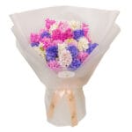 Colourful hyacinths in a wrapped bouquet