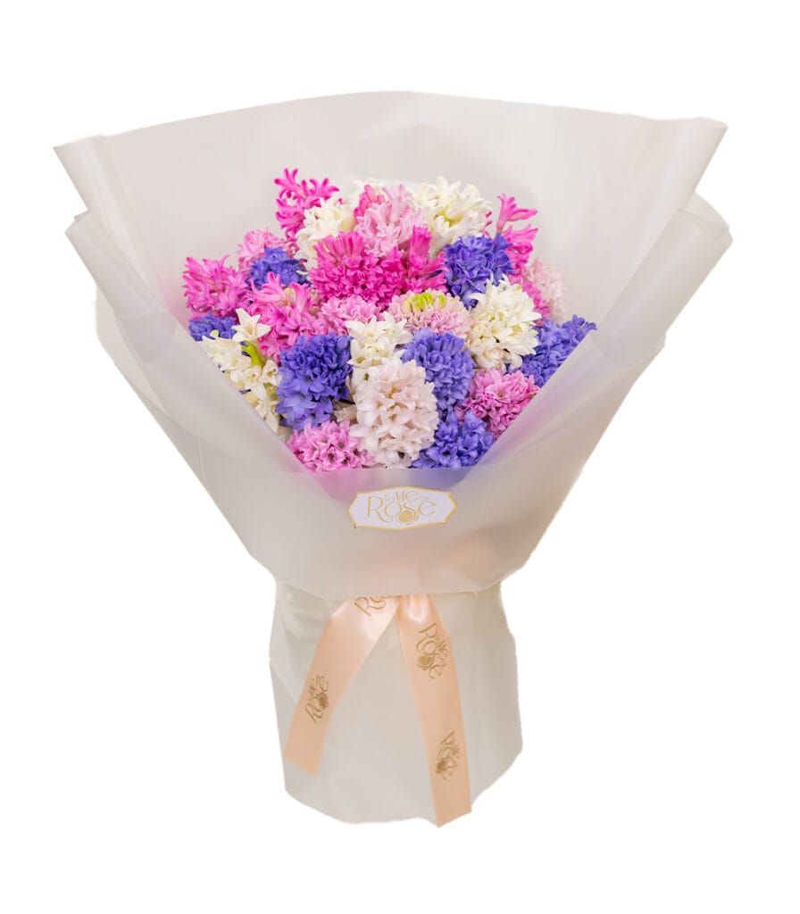 Colourful hyacinths in a wrapped bouquet