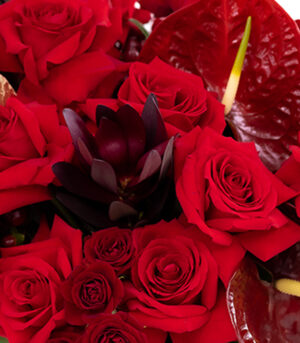 Boxes of Roses - Empowering Love - Image 4