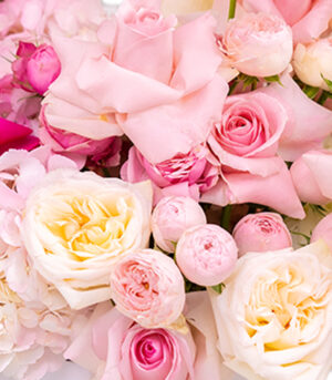 Boxes of Pink Roses - Soft Feelings - Image 3