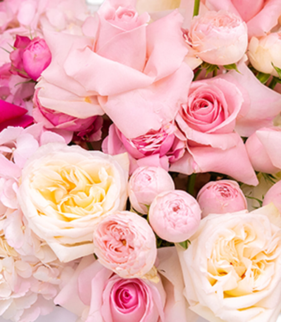 Boxes of Pink Roses - Soft Feelings - Image 3