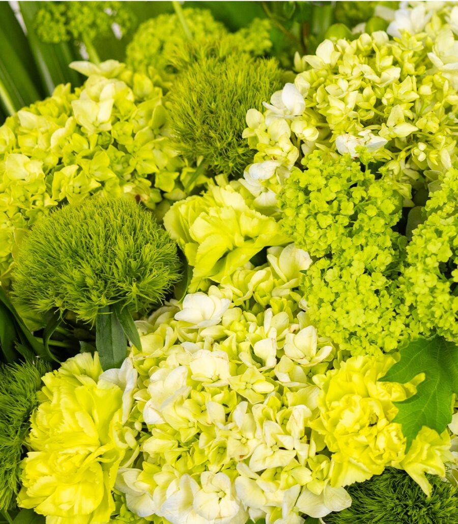 Green Bouquet - Green Serenity - Image 3