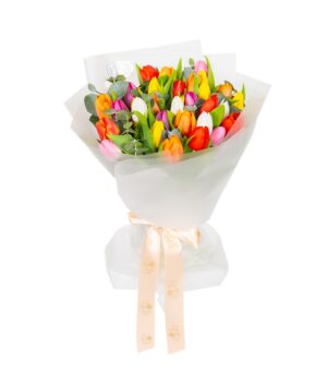Amsterdam Tulips