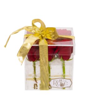 9 Red Roses in a Box - Love