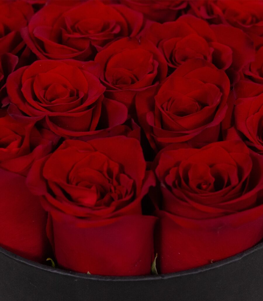 Box of 15 Red Roses - Image 3