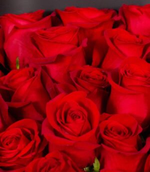 Bouquet of 21 Red Roses - Image 3