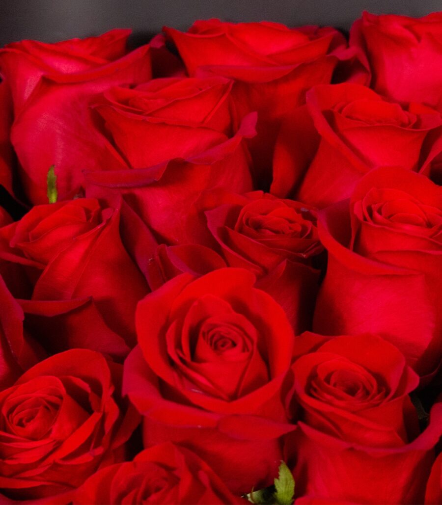 Bouquet of 21 Red Roses - Image 3
