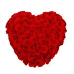 Heart arrangement of 69 red cryogenic roses