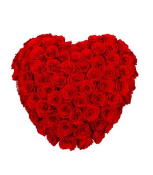 Heart with 69 Red Cryogenic Roses