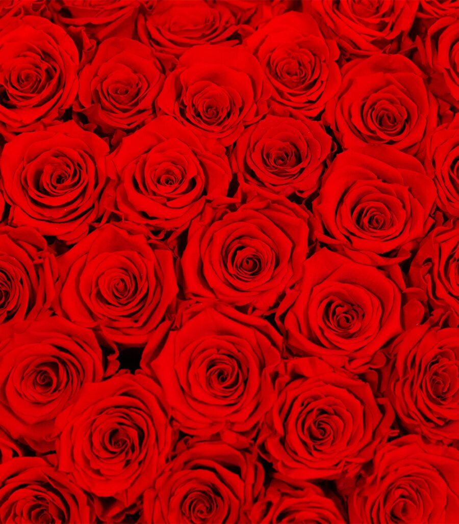 Heart with 69 Red Cryogenic Roses - Image 3