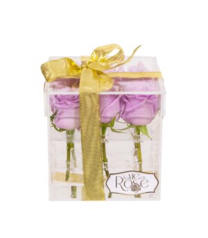 Purple Roses Box Princess