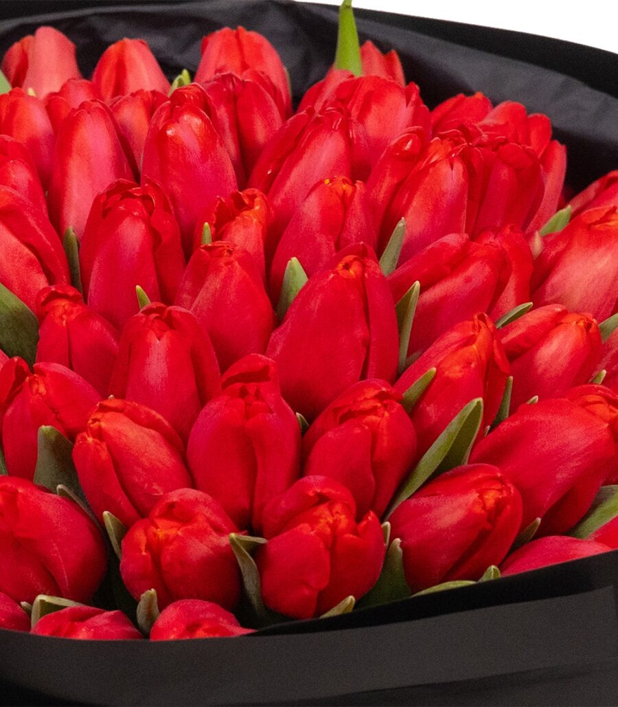 Bouquet 101 Red Tulips - Image 3