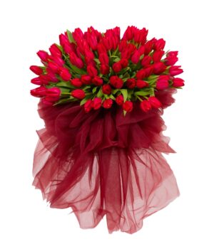 Bouquet of 151 Red Tulips