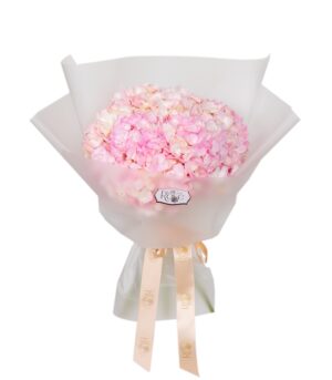 Bouquet of Pink Hydrangeas