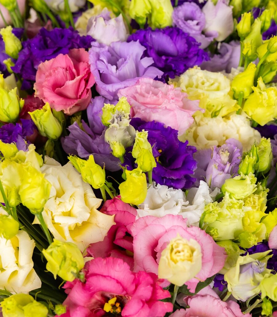 Bouquet of Colorful Eustoma - Image 3