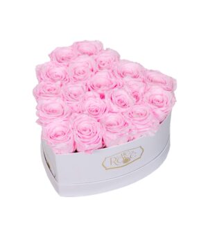 Pink Cryogenic Roses in White Box