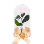 Pink cryogenic rose in a glass dome