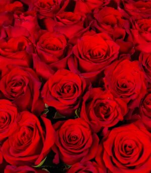 Bouquet of Red Roses - Image 3