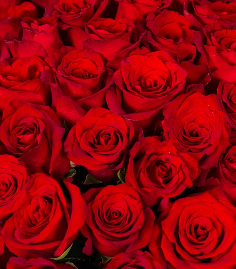 Bouquet of Red Roses - Image 3