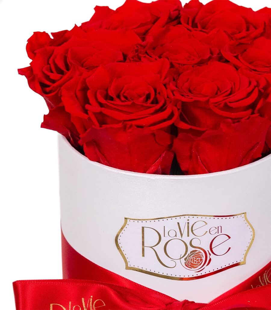 7 Cryogenic Roses Box - Image 3