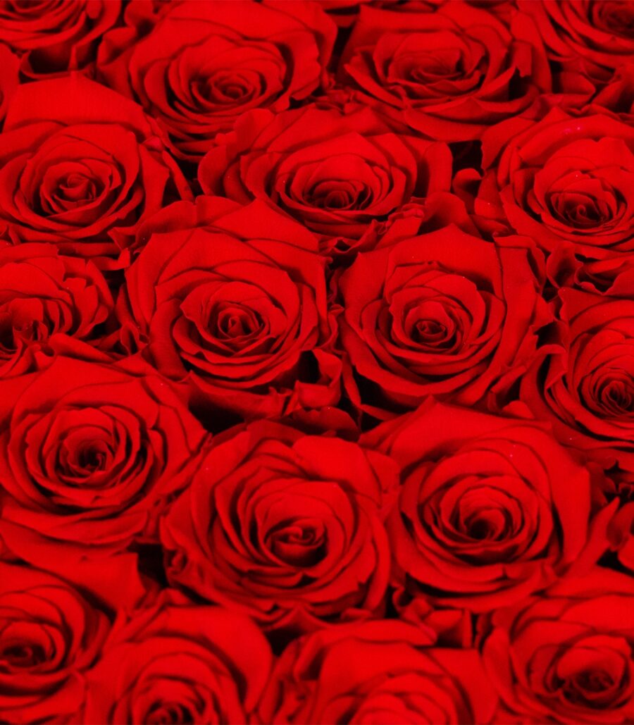 Box of Red Cryogenic Roses - Image 3
