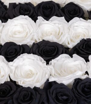 Box of Black and White Cryogenic Roses - Image 3