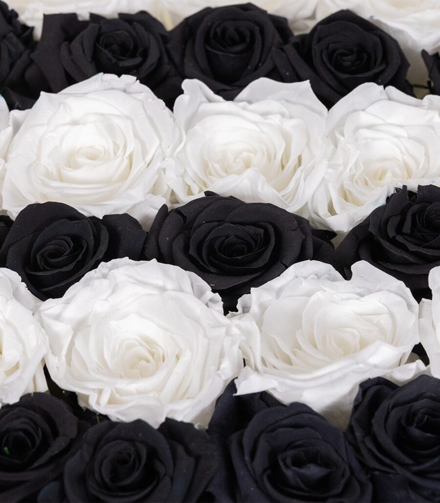 Box of Black and White Cryogenic Roses - Image 3