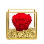Cryogenic rose in a glass cube with golden edges