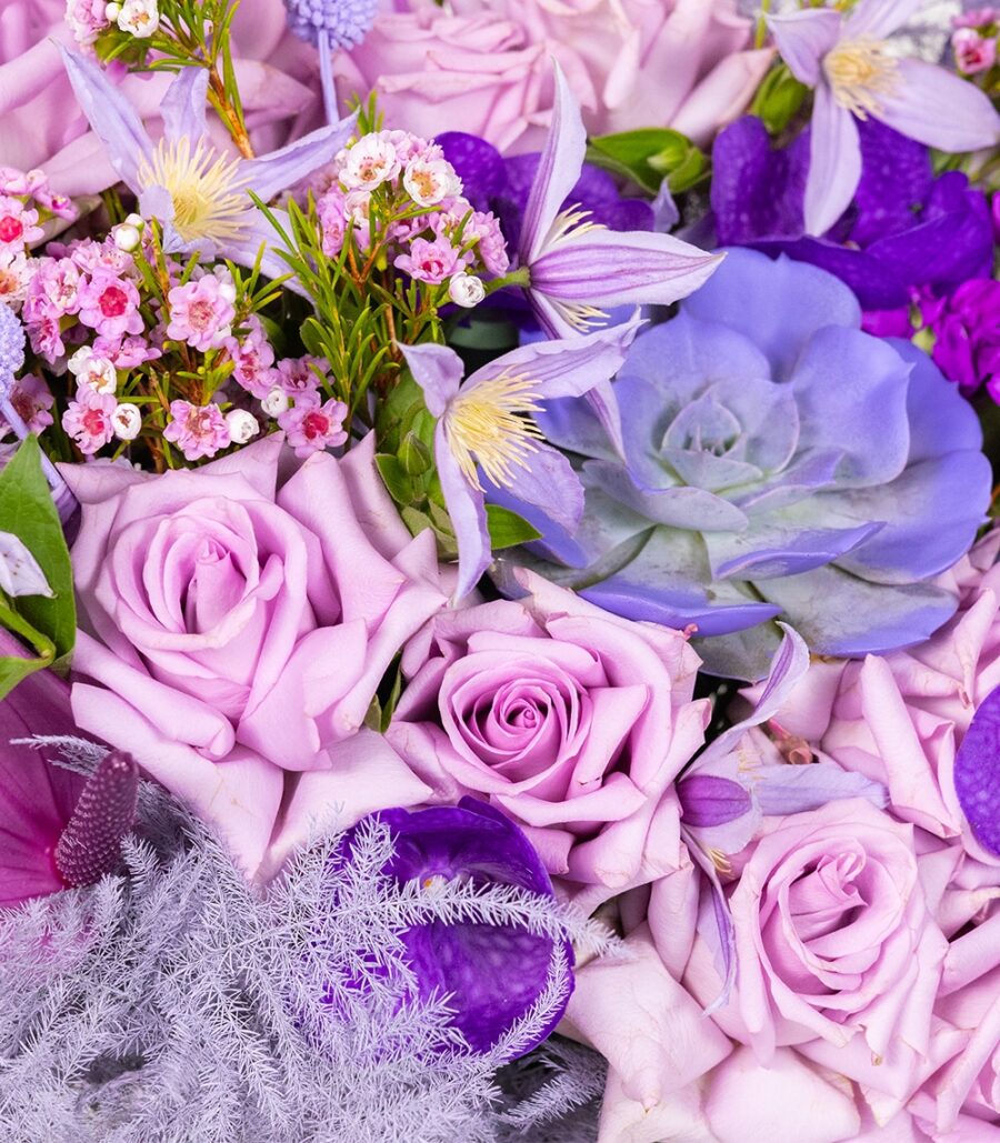Purple Flowers - Purple Fusion - Image 3