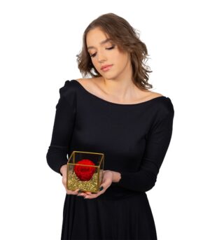 Cryogenic Rose in Glass Golden Margin Cube - Image 2