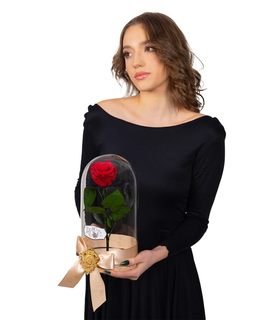 Red Cryogenic Rose in Glass Dome - Image 2