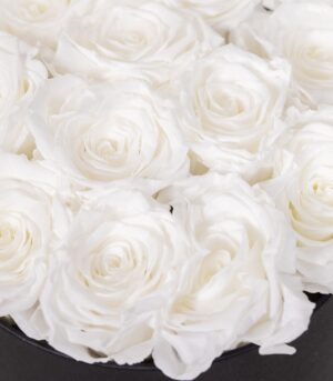 Box of Cryogenic White Roses - Image 3