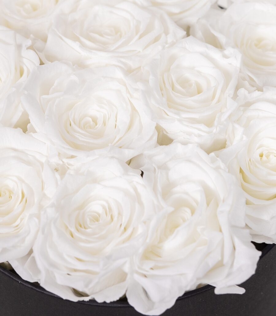 Box of Cryogenic White Roses - Image 3