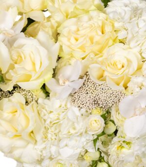 White Flowers - White Delight - Image 3