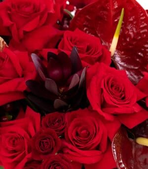 The One red flower box with golden palm leaves