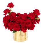 Red Romance box of 69 red roses