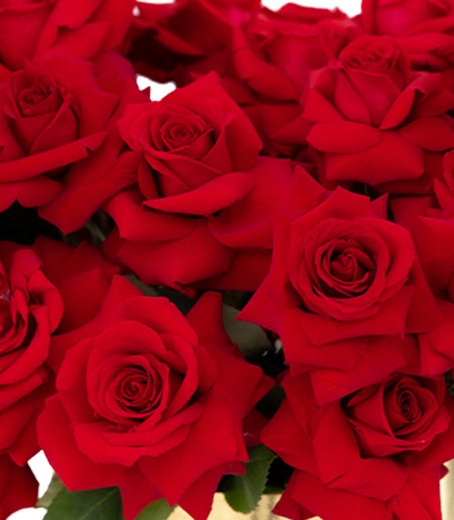 Box of 69 Red Roses - Red Romance - Image 3