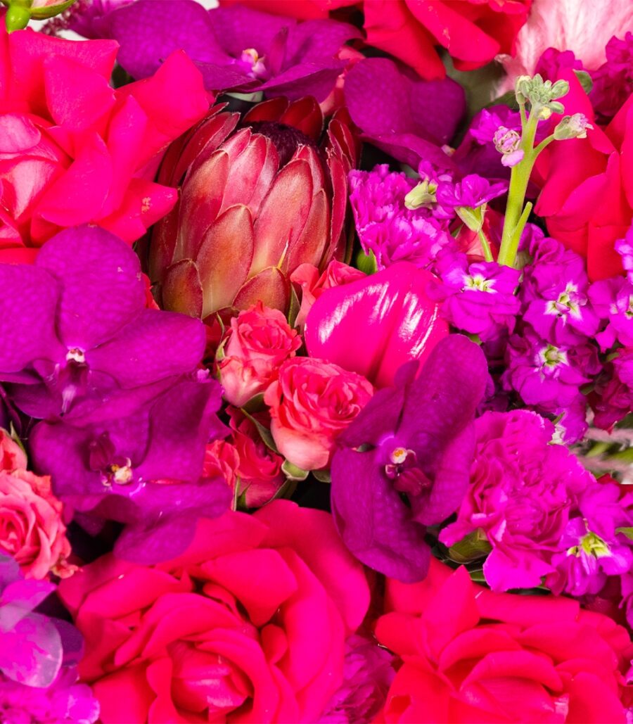 Pink Flowers – Fuchsia Fantasy - Image 3