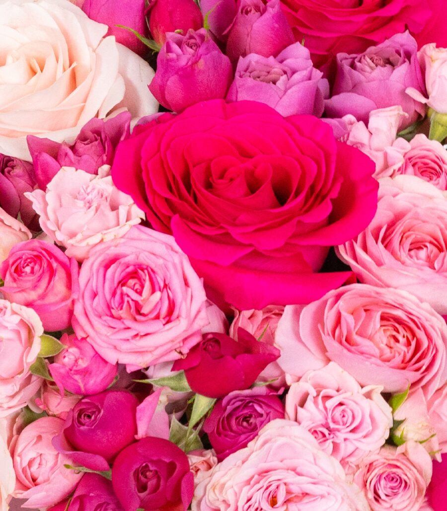 Pink Roses in a Box - Image 3