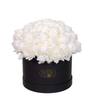 Box of White Peonies