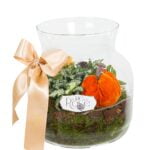 Autumn succulents and accessories in a clear glass terrarium