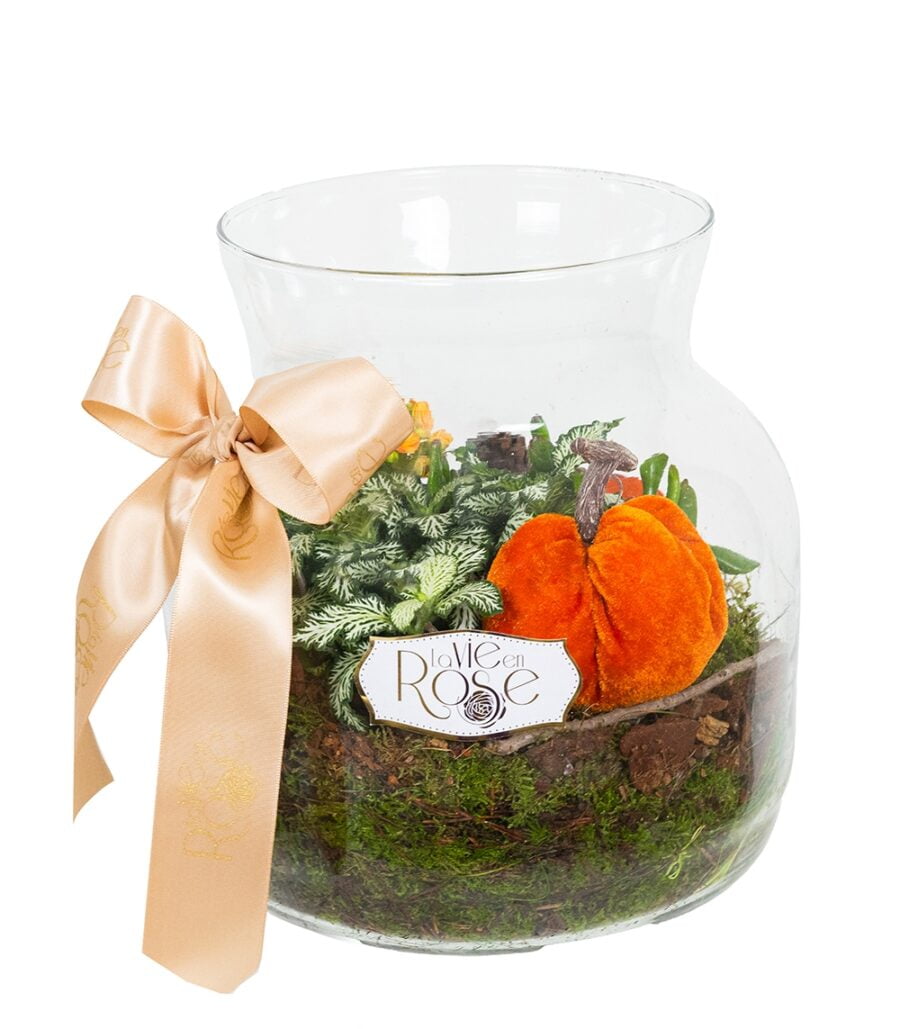 Terariu with Autumn Succulents - Image 1