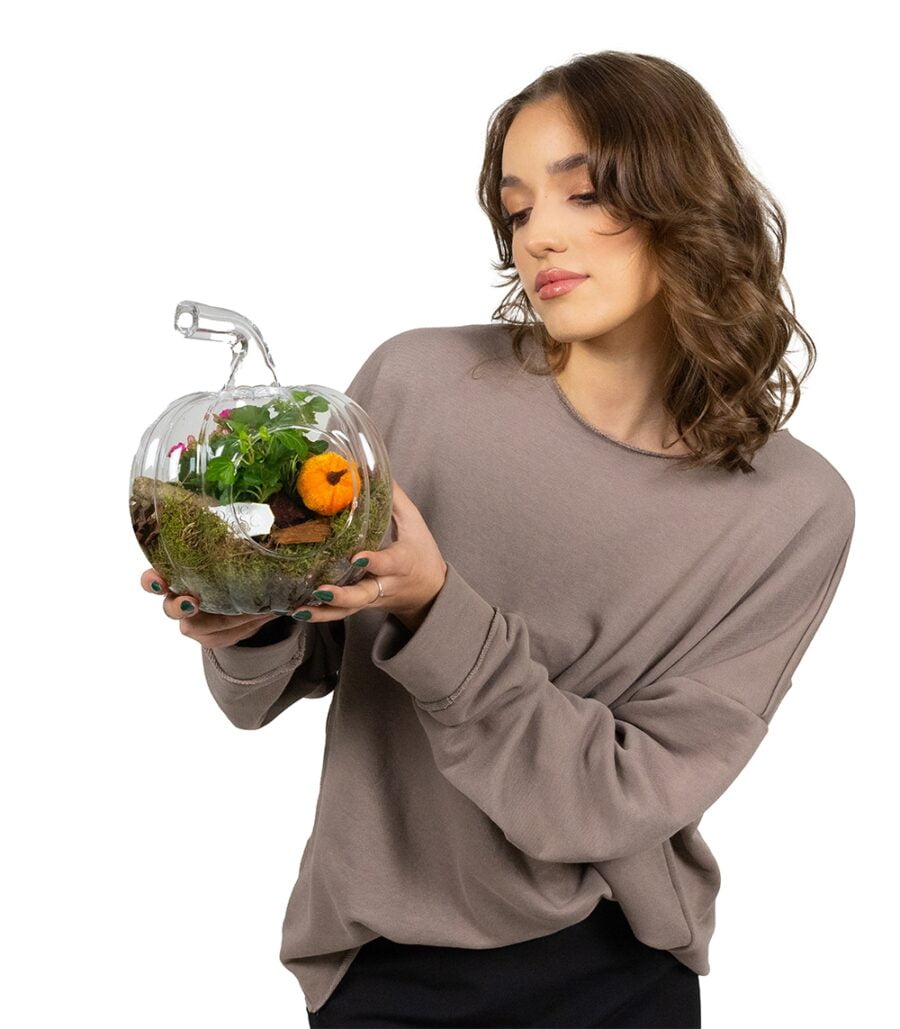 Terariu Pumpkin with Succulents - Image 2