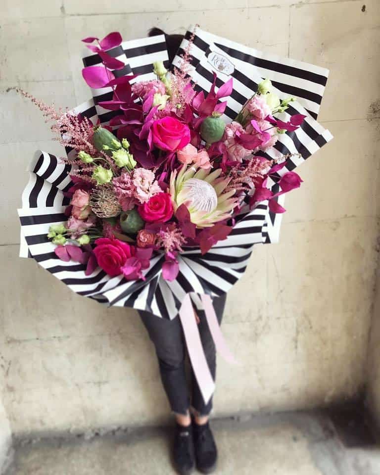 La vieenrose 1