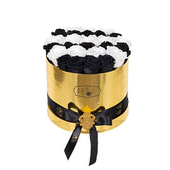 Luxury collection