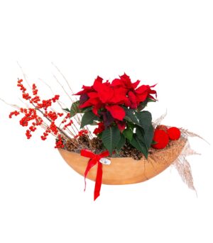 Christmas Flower Arrangement - Poinsettia's Wonderland