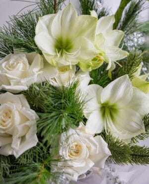 Whispering Pines white rose and amaryllis bouquet with frosted pine